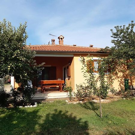 Apartman Lena Umag Zewnętrze zdjęcie